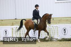 24R13_12867 thumbnail