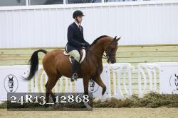 24R13_12868 thumbnail