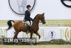 24R13_12869 thumbnail
