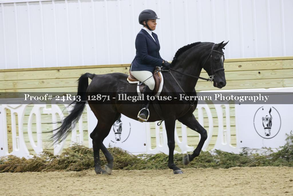 Proof Number 24R13_12871