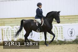 24R13_12871 thumbnail
