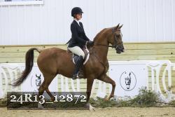 24R13_12872 thumbnail