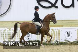 24R13_12873 thumbnail