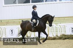 24R13_12878 thumbnail