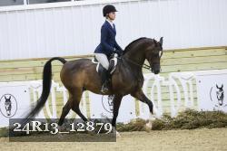 24R13_12879 thumbnail