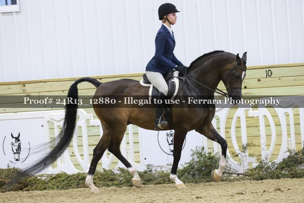 Proof Number 24R13_12880
