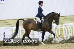 24R13_12880 thumbnail