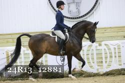 24R13_12881 thumbnail