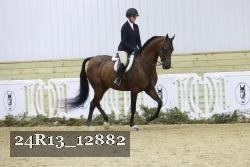 24R13_12882 thumbnail