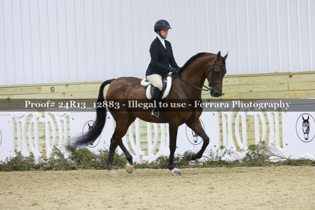 Proof Number 24R13_12883