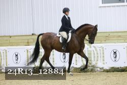 24R13_12884 thumbnail