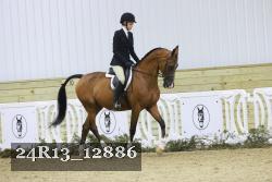 24R13_12886 thumbnail