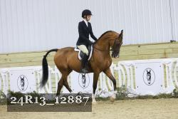 24R13_12887 thumbnail