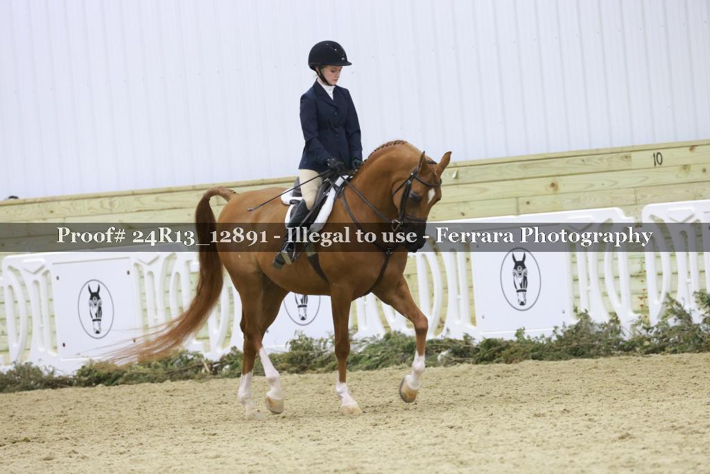 Proof Number 24R13_12891