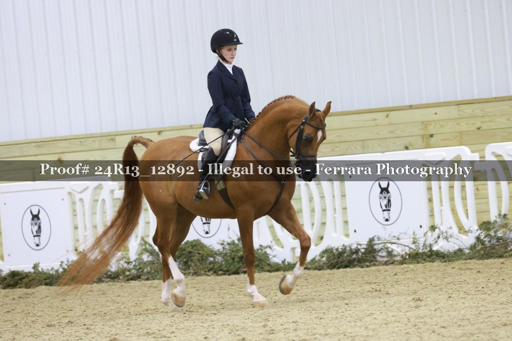 Proof Number 24R13_12892