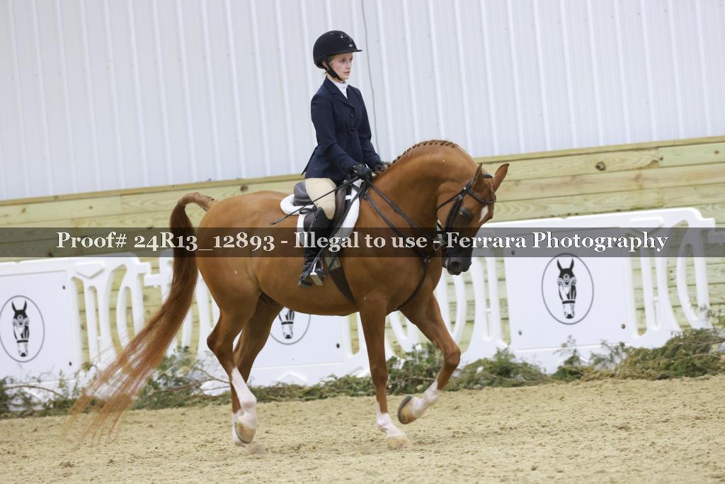 Proof Number 24R13_12893