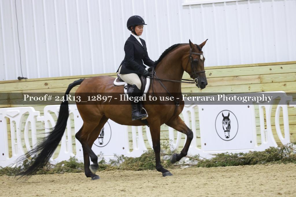 Proof Number 24R13_12897