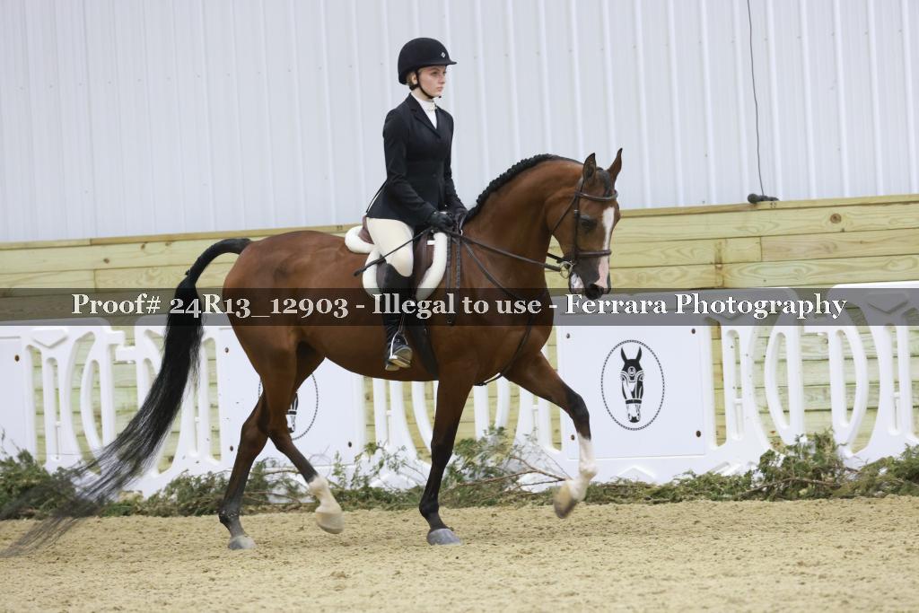 Proof Number 24R13_12903