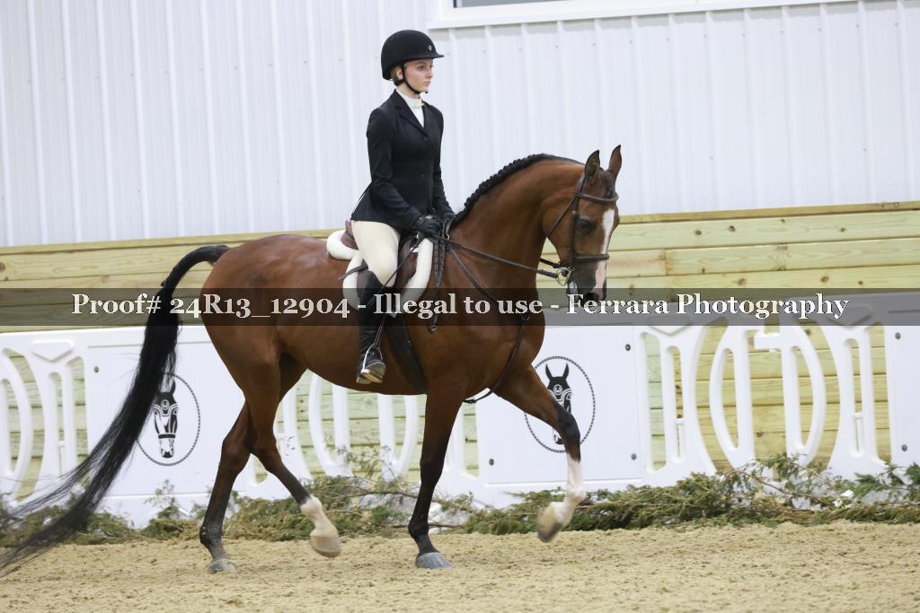 Proof Number 24R13_12904