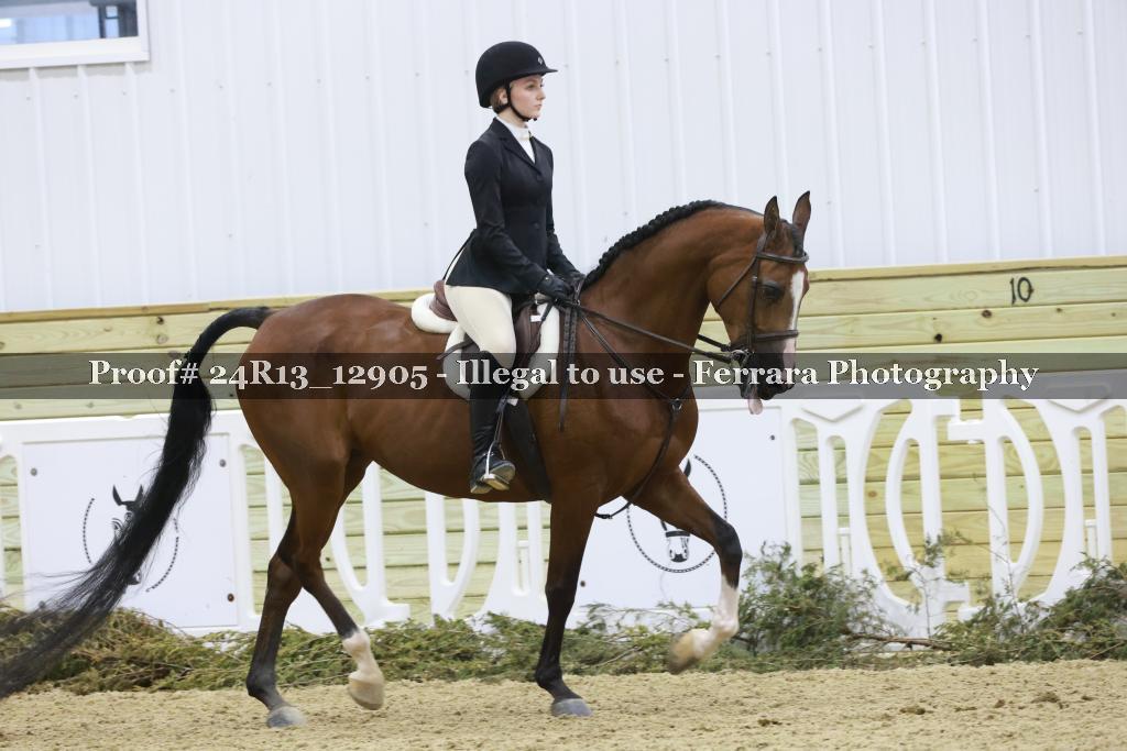 Proof Number 24R13_12905