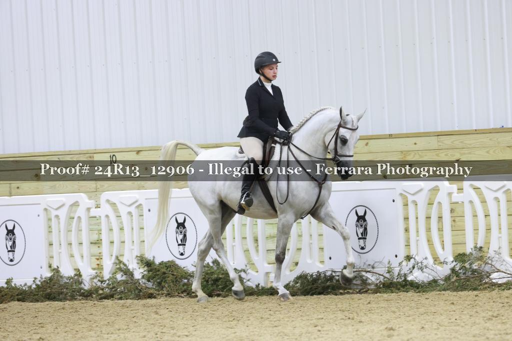 Proof Number 24R13_12906