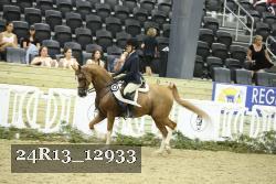 24R13_12933 thumbnail