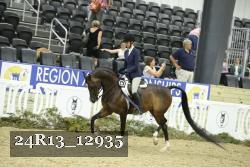 24R13_12935 thumbnail