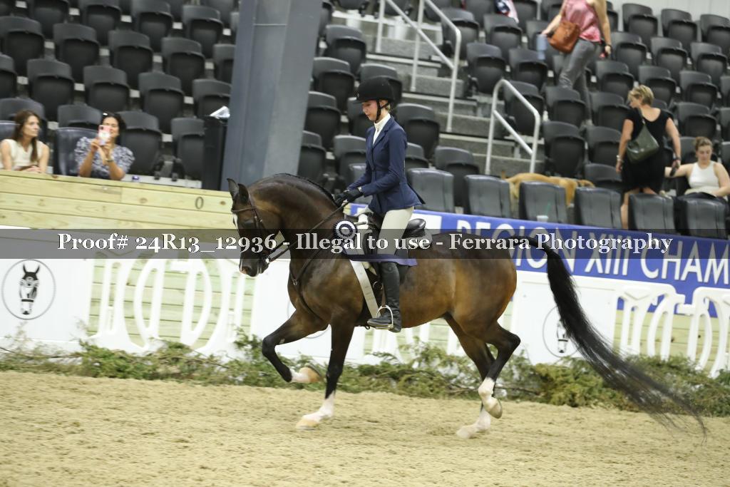 Proof Number 24R13_12936
