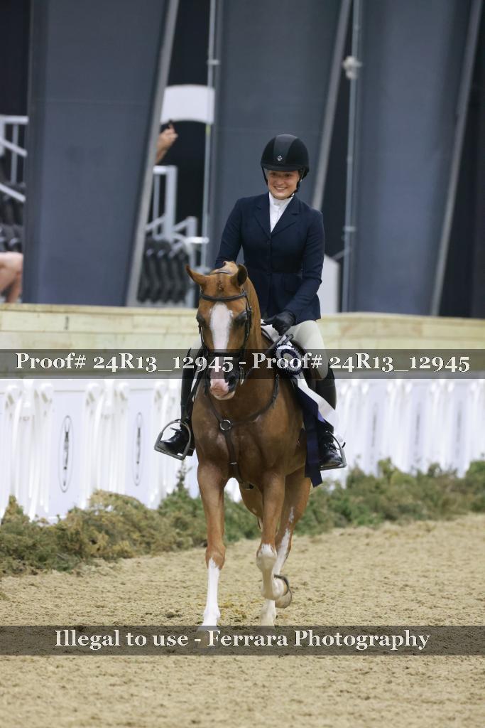 Proof Number 24R13_12945