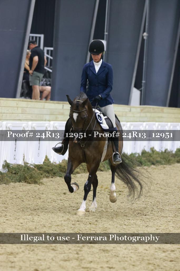 Proof Number 24R13_12951