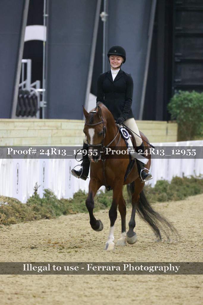 Proof Number 24R13_12955
