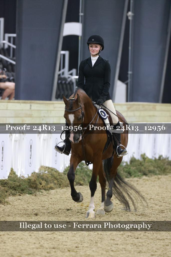 Proof Number 24R13_12956