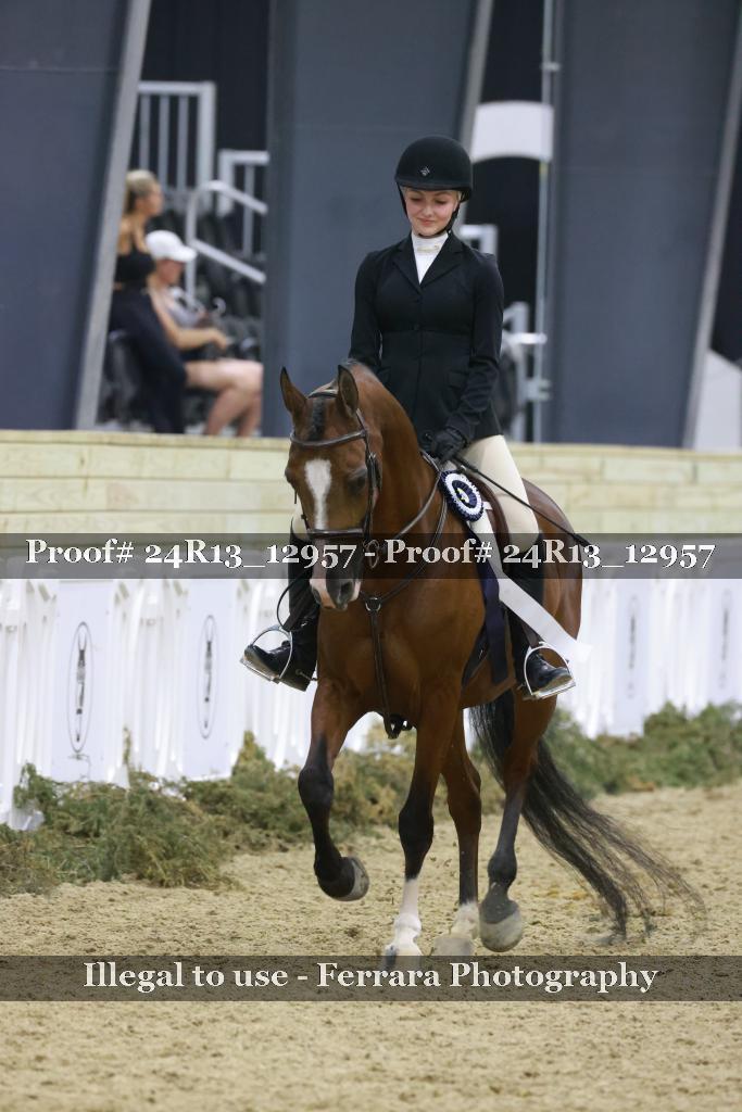 Proof Number 24R13_12957