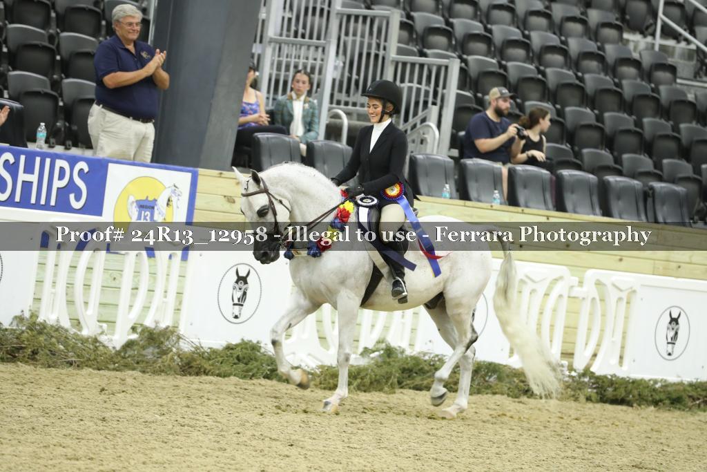 Proof Number 24R13_12958