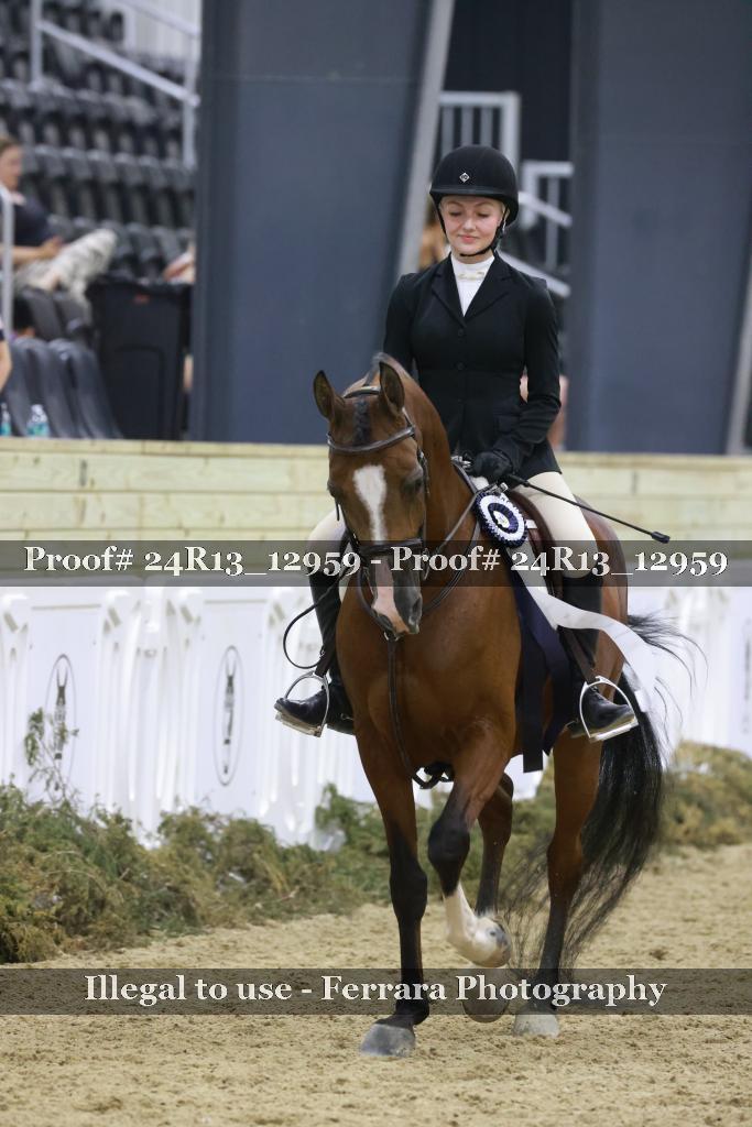 Proof Number 24R13_12959