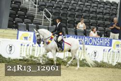 24R13_12961 thumbnail