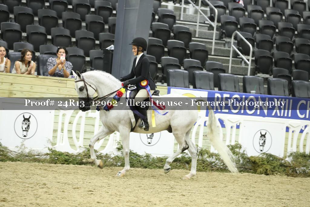 Proof Number 24R13_12962
