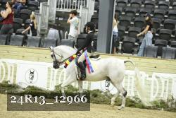 24R13_12966 thumbnail