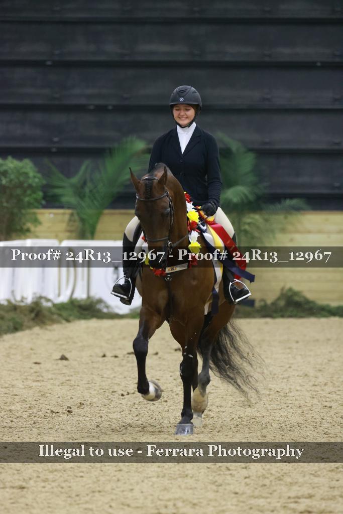 Proof Number 24R13_12967
