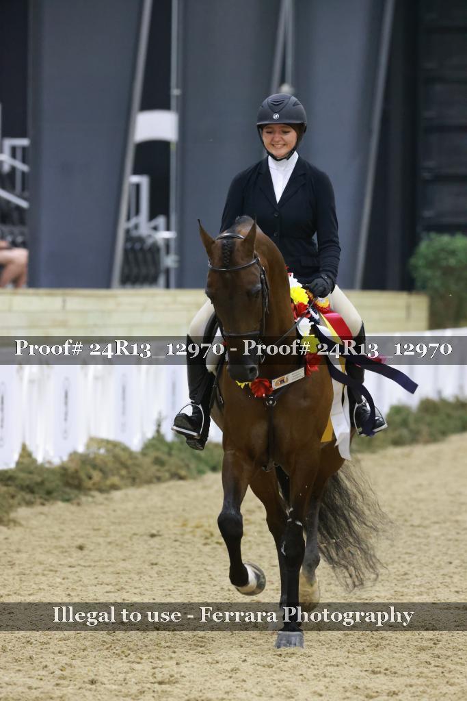 Proof Number 24R13_12970