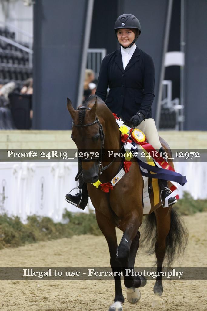 Proof Number 24R13_12972