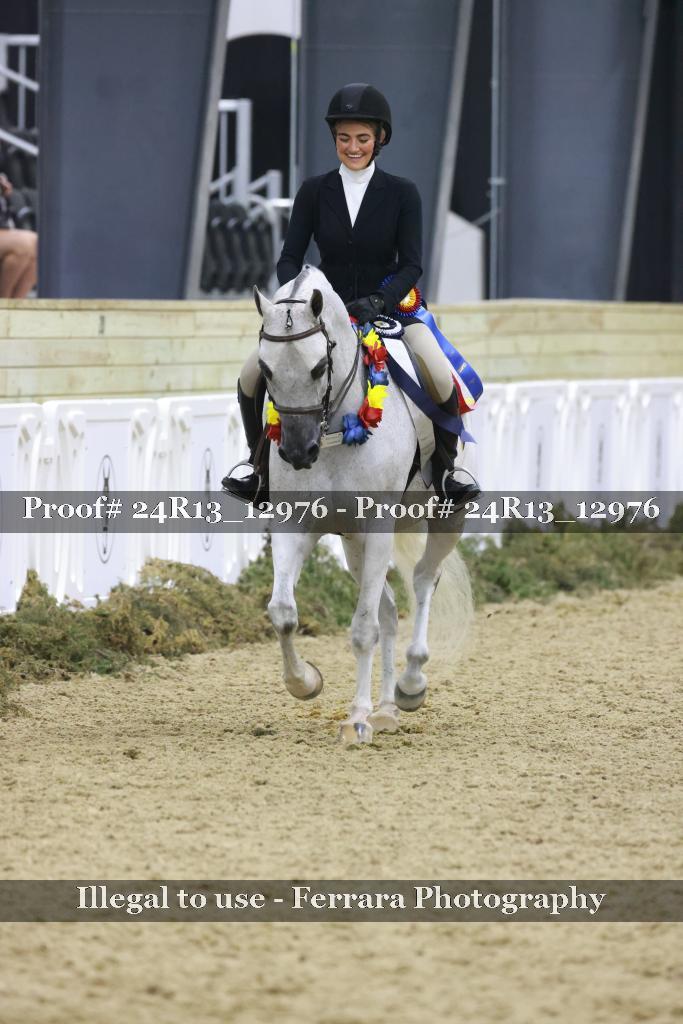 Proof Number 24R13_12976