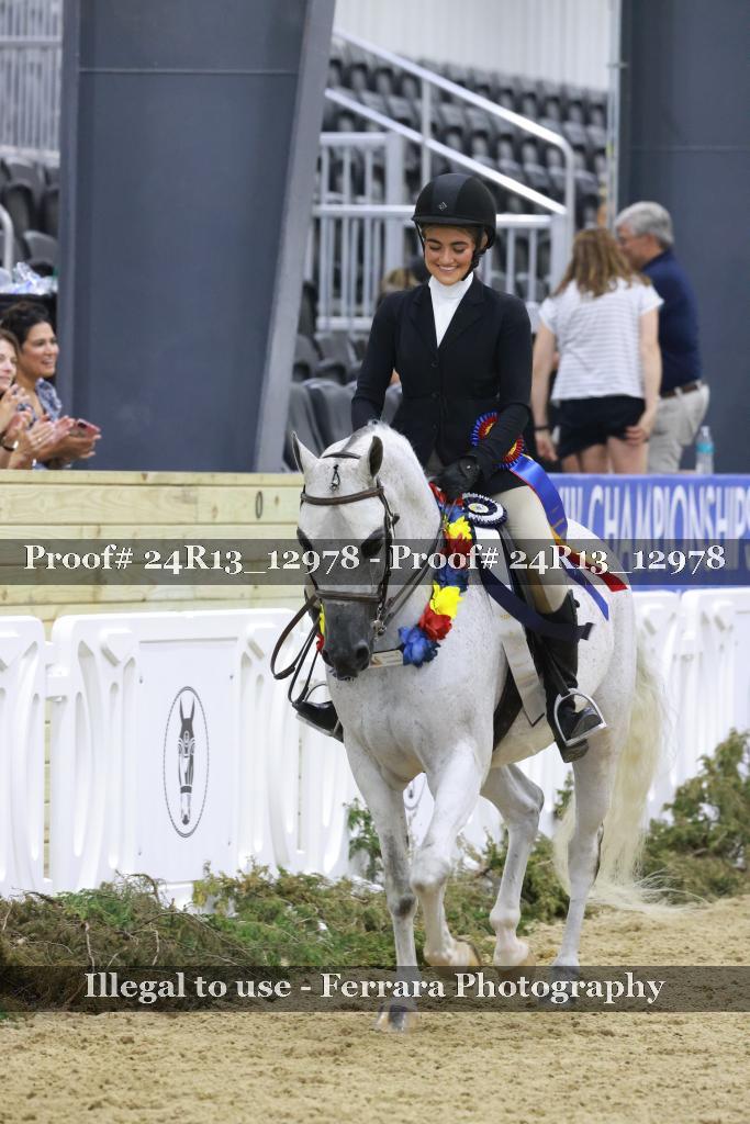 Proof Number 24R13_12978