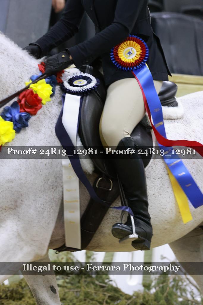 Proof Number 24R13_12981