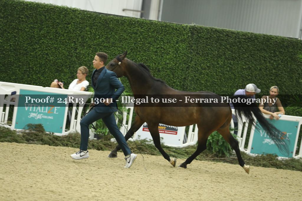 Proof Number 24R13_13011