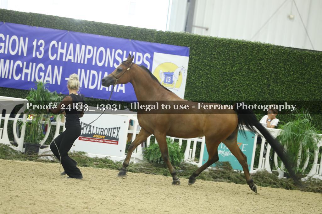 Proof Number 24R13_13031