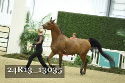 24R13_13035 thumbnail