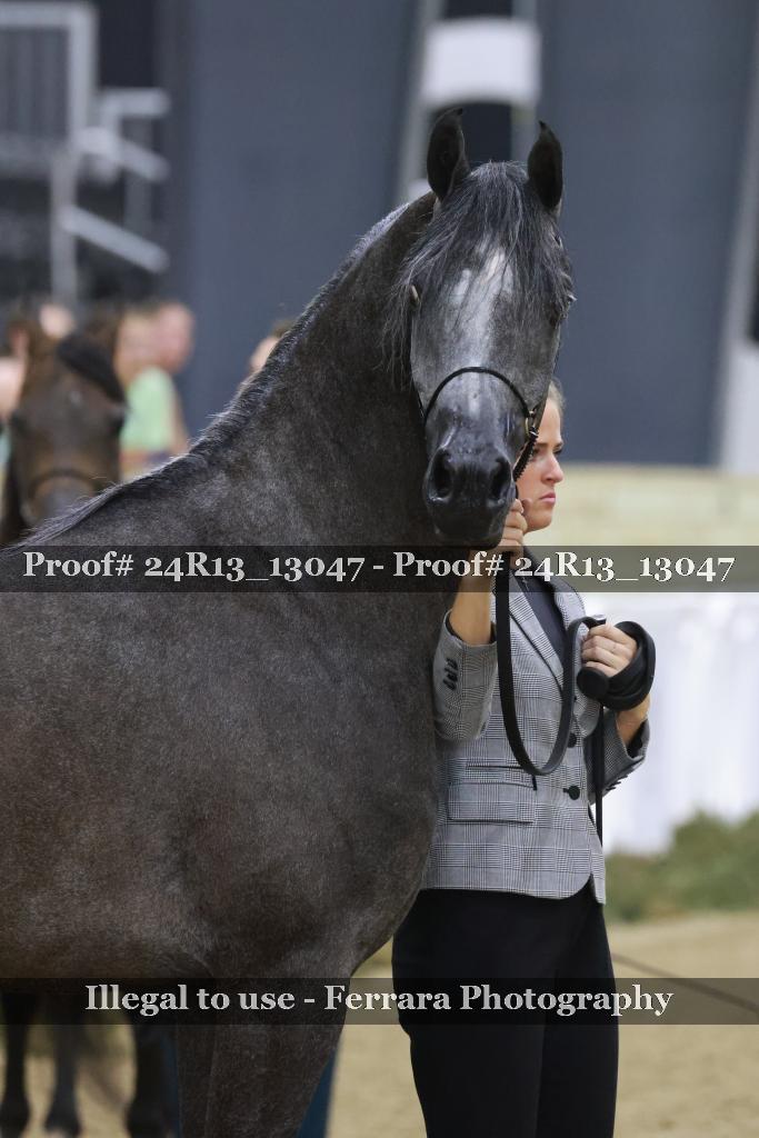 Proof Number 24R13_13047