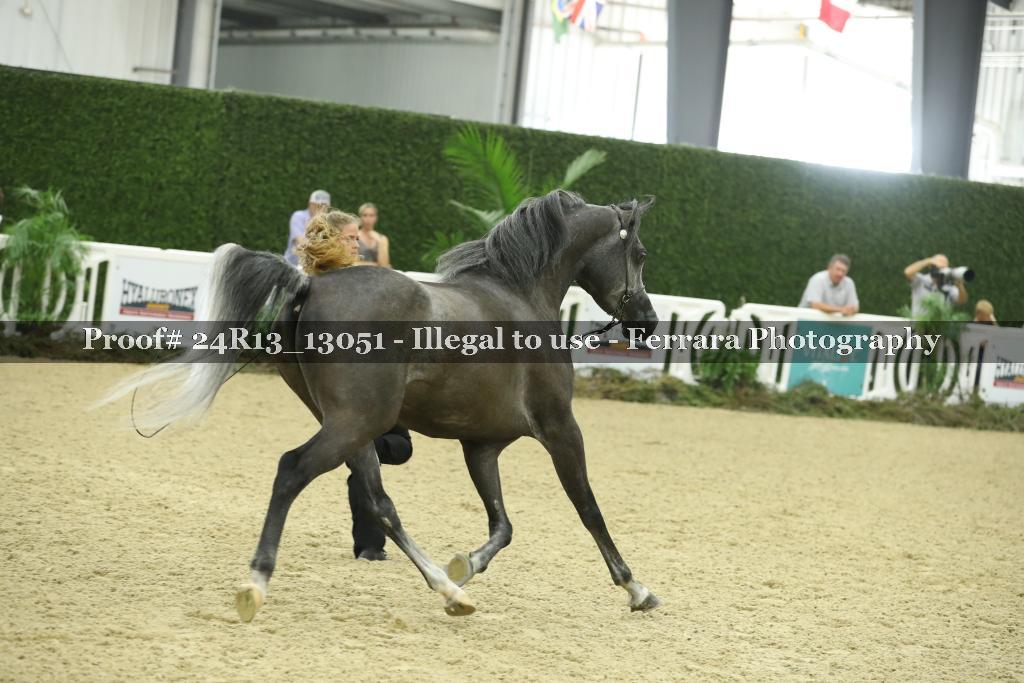 Proof Number 24R13_13051