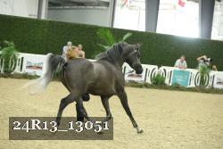 24R13_13051 thumbnail